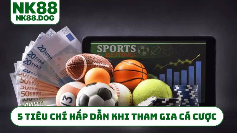5 tiêu chí hấp dẫn khi tham gia cá cược