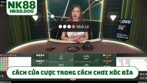cach-cua-cuoc-trong-cach-choi-xoc-dia