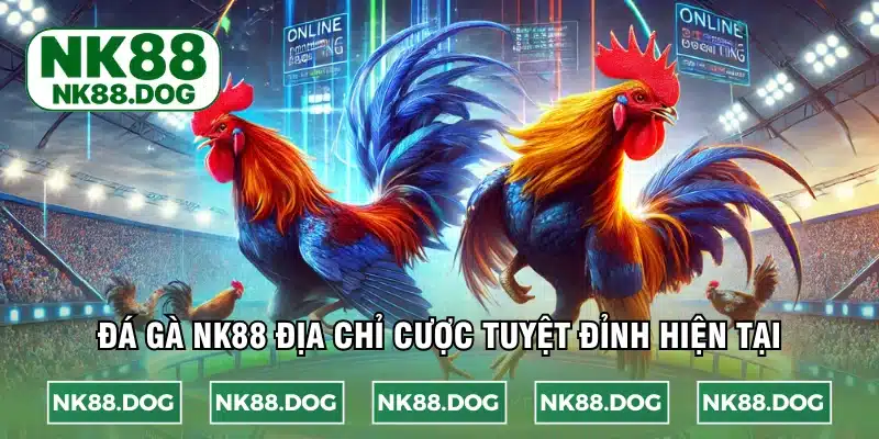 Đá gà NK88 cá cược chiến kê chất lượng cao
